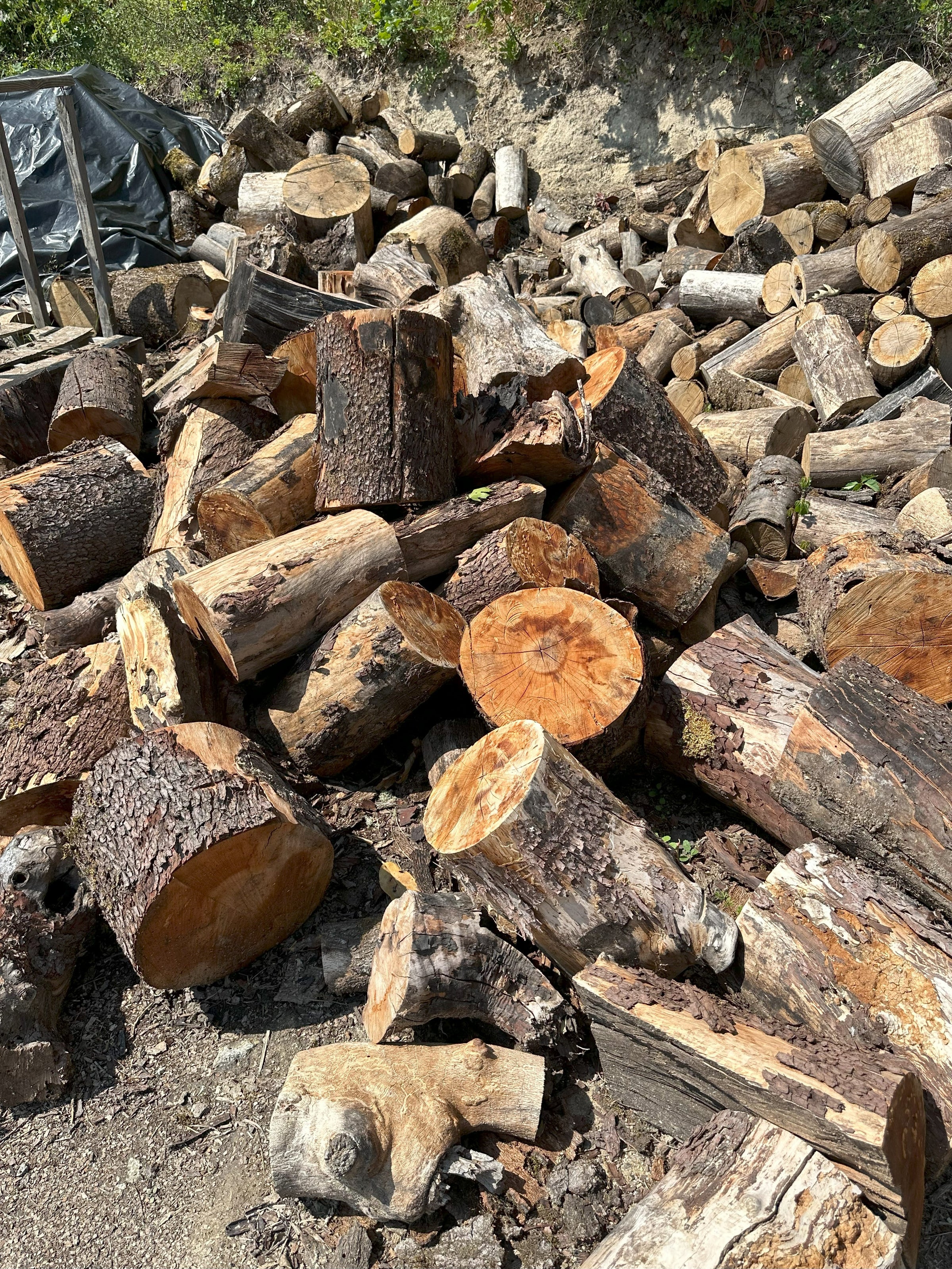 Fire Wood Madrone IGS